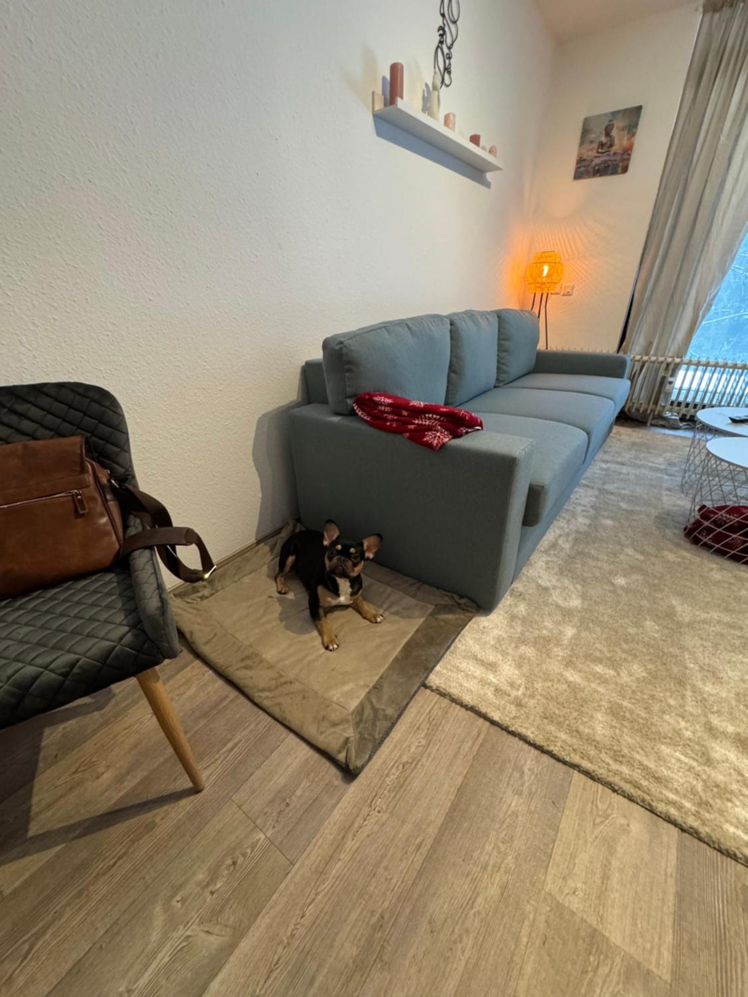 Apartment Maja Unmittelbar An Der Skipiste Вінтерберг Екстер'єр фото