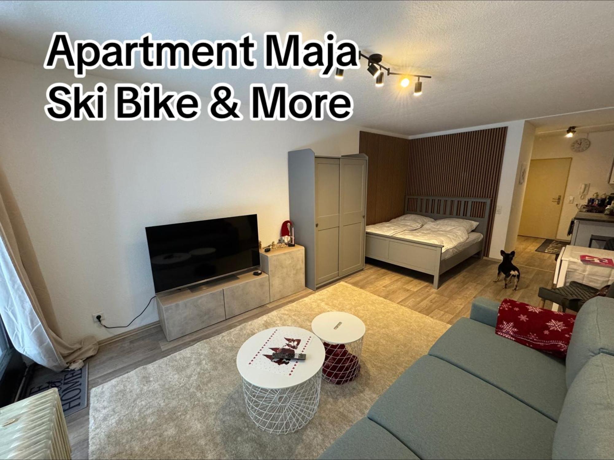 Apartment Maja Unmittelbar An Der Skipiste Вінтерберг Екстер'єр фото